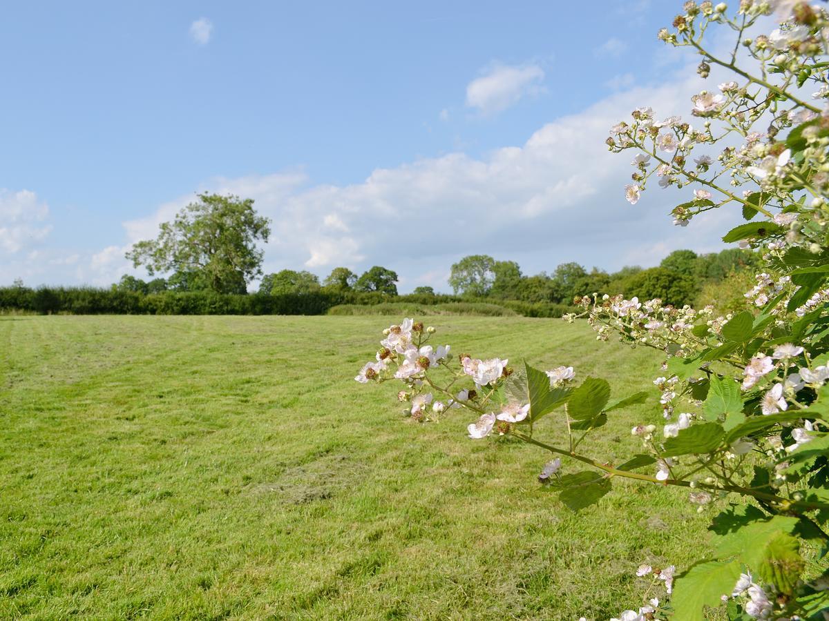 Villa Tiger Horsted Keynes Exterior foto